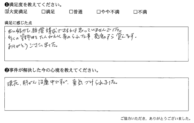 多くの資料をたんねんに集められた事、感動すら覚えます